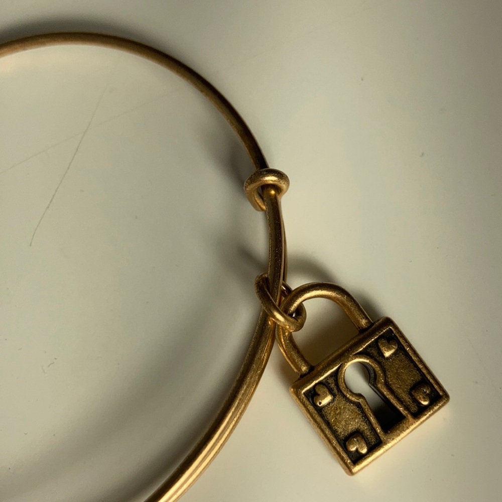 Alex and Ani Unbreakable Love Charm Bangle - Picture 9 of 9